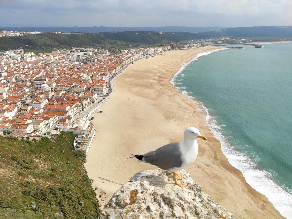 Casa Sao Giao Apartman Nazaré Kültér fotó